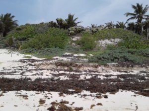 eroding beach from the distance