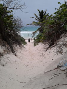 a waiter from El Ultimo Maya on the way to the beach to harvest coconuts with his tool on the shoulder