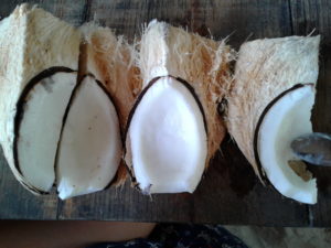a Mexican coconut has been opened with a machete to eat